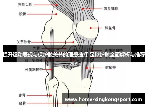 提升运动表现与保护膝关节的理想选择 足球护膝全面解析与推荐