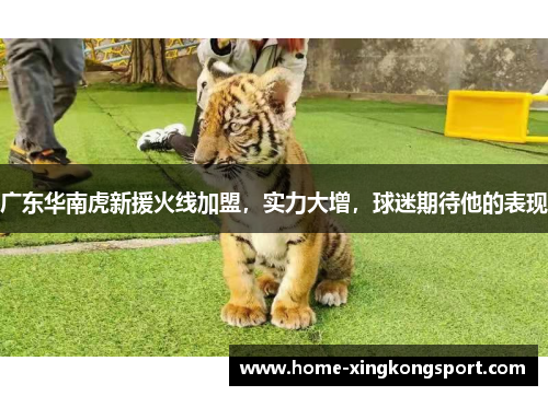 广东华南虎新援火线加盟，实力大增，球迷期待他的表现