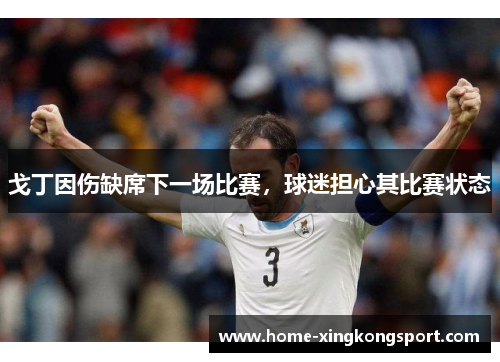 戈丁因伤缺席下一场比赛，球迷担心其比赛状态