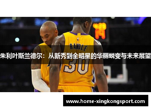 朱利叶斯兰德尔：从新秀到全明星的华丽蜕变与未来展望